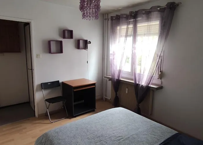 Pretty 4-room In A Quiet Area 3 Bedrooms ستراسبورغ